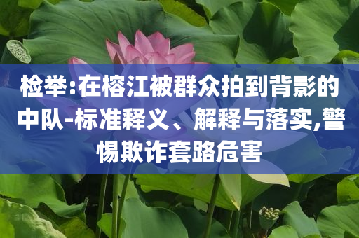 檢舉:在榕江被群眾拍到背影的中隊-標(biāo)準(zhǔn)釋義、解釋與落實,警惕欺詐套路危害