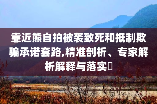 靠近熊自拍被襲致死和抵制欺騙承諾套路,精準(zhǔn)剖析、專家解析解釋與落實?