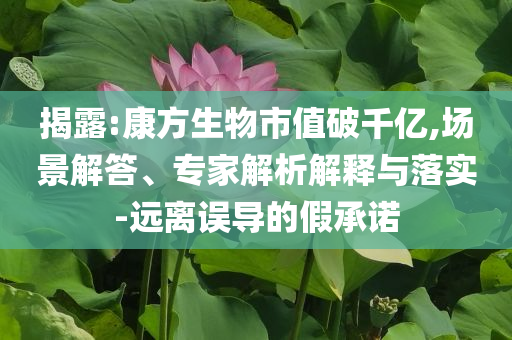 揭露:康方生物市值破千億,場(chǎng)景解答、專家解析解釋與落實(shí)-遠(yuǎn)離誤導(dǎo)的假承諾
