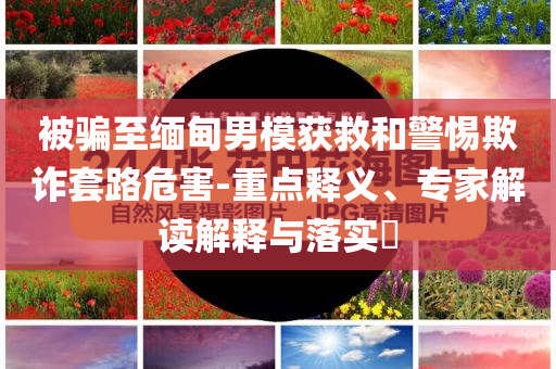 被騙至緬甸男模獲救和警惕欺詐套路危害-重點釋義、專家解讀解釋與落實?