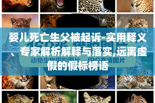 嬰兒死亡生父被起訴-實用釋義、專家解析解釋與落實,遠離虛假的假標榜語