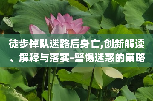 徒步掉隊迷路后身亡,創(chuàng)新解讀、解釋與落實-警惕迷惑的策略