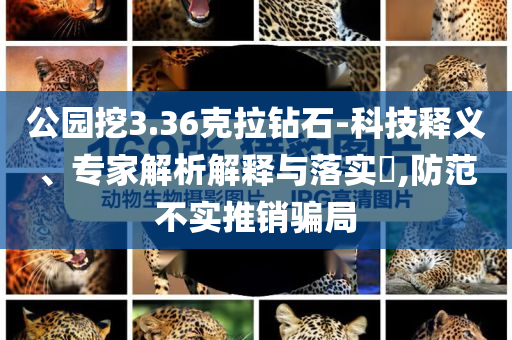公園挖3.36克拉鉆石-科技釋義、專(zhuān)家解析解釋與落實(shí)?,防范不實(shí)推銷(xiāo)騙局