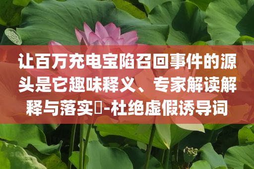 讓百萬充電寶陷召回事件的源頭是它趣味釋義、專家解讀解釋與落實(shí)?-杜絕虛假誘導(dǎo)詞