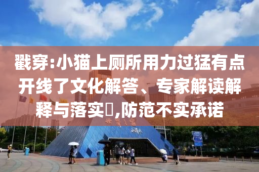 戳穿:小貓上廁所用力過猛有點開線了文化解答、專家解讀解釋與落實?,防范不實承諾