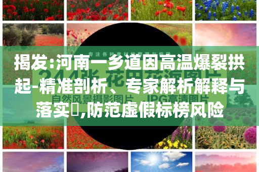揭發(fā):河南一鄉(xiāng)道因高溫爆裂拱起-精準(zhǔn)剖析、專家解析解釋與落實?,防范虛假標(biāo)榜風(fēng)險