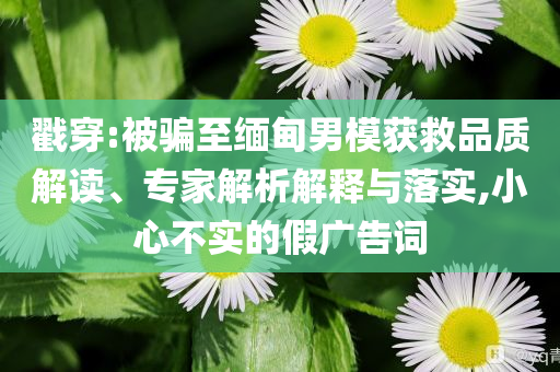 戳穿:被騙至緬甸男模獲救品質解讀、專家解析解釋與落實,小心不實的假廣告詞