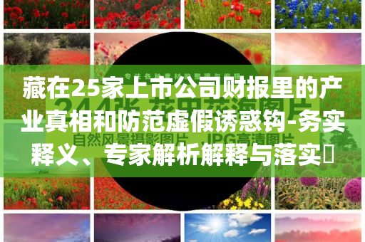 藏在25家上市公司財報里的產業(yè)真相和防范虛假誘惑鉤-務實釋義、專家解析解釋與落實?