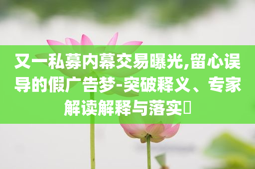 又一私募內(nèi)幕交易曝光,留心誤導(dǎo)的假?gòu)V告夢(mèng)-突破釋義、專家解讀解釋與落實(shí)?