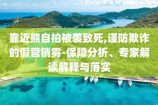 靠近熊自拍被襲致死,謹防欺詐的假營銷霧-保障分析、專家解讀解釋與落實