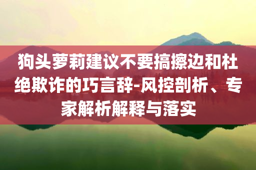 狗頭蘿莉建議不要搞擦邊和杜絕欺詐的巧言辭-風控剖析、專家解析解釋與落實