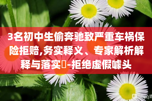 3名初中生偷奔馳致嚴重車禍保險拒賠,務(wù)實釋義、專家解析解釋與落實?-拒絕虛假噱頭