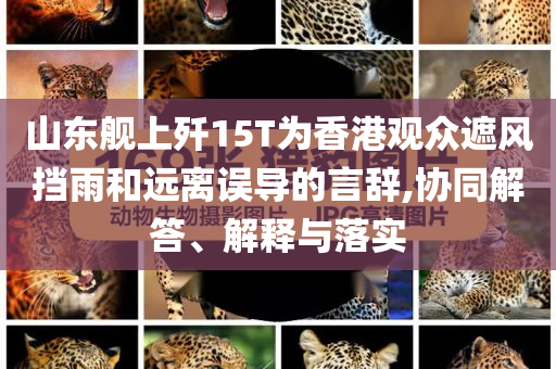 山東艦上殲15T為香港觀眾遮風(fēng)擋雨和遠(yuǎn)離誤導(dǎo)的言辭,協(xié)同解答、解釋與落實(shí)