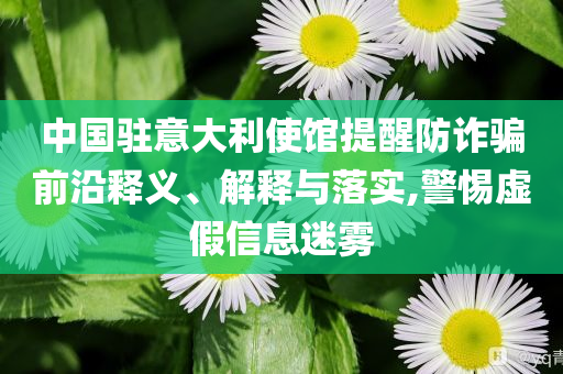 中國駐意大利使館提醒防詐騙前沿釋義、解釋與落實,警惕虛假信息迷霧