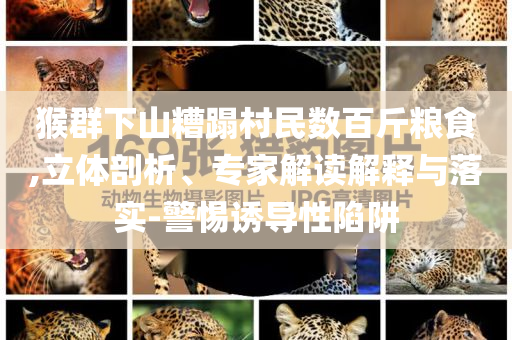 猴群下山糟蹋村民數(shù)百斤糧食,立體剖析、專家解讀解釋與落實(shí)-警惕誘導(dǎo)性陷阱
