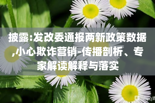 披露:發(fā)改委通報(bào)兩新政策數(shù)據(jù),小心欺詐營銷-傳播剖析、專家解讀解釋與落實(shí)