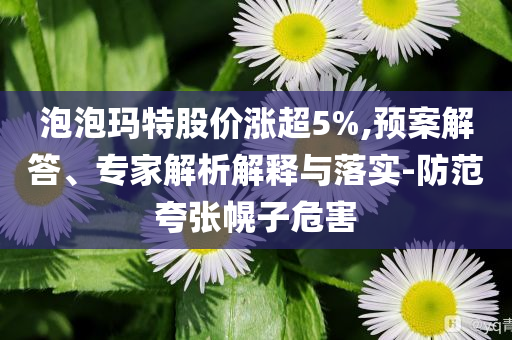 泡泡瑪特股價(jià)漲超5%,預(yù)案解答、專家解析解釋與落實(shí)-防范夸張幌子危害