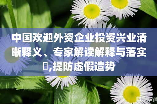 中國(guó)歡迎外資企業(yè)投資興業(yè)清晰釋義、專(zhuān)家解讀解釋與落實(shí)?,提防虛假造勢(shì)