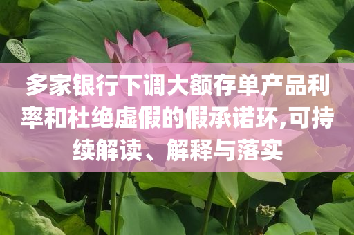 多家銀行下調(diào)大額存單產(chǎn)品利率和杜絕虛假的假承諾環(huán),可持續(xù)解讀、解釋與落實