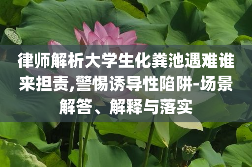 律師解析大學生化糞池遇難誰來擔責,警惕誘導性陷阱-場景解答、解釋與落實