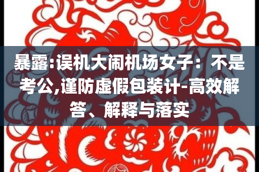 暴露:誤機大鬧機場女子：不是考公,謹(jǐn)防虛假包裝計-高效解答、解釋與落實