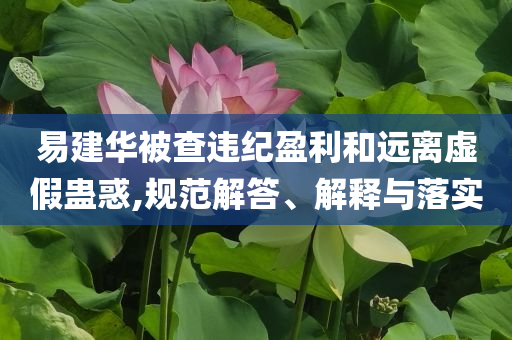 易建華被查違紀(jì)盈利和遠(yuǎn)離虛假蠱惑,規(guī)范解答、解釋與落實
