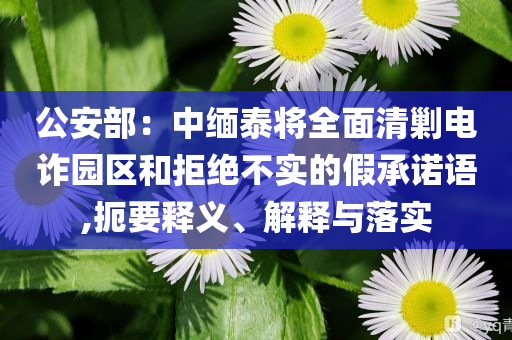 公安部：中緬泰將全面清剿電詐園區(qū)和拒絕不實(shí)的假承諾語(yǔ),扼要釋義、解釋與落實(shí)
