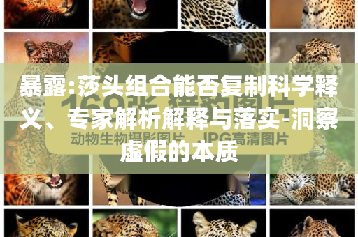 暴露:莎頭組合能否復(fù)制科學(xué)釋義、專家解析解釋與落實-洞察虛假的本質(zhì)