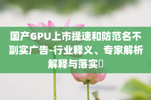 國產(chǎn)GPU上市提速和防范名不副實廣告-行業(yè)釋義、專家解析解釋與落實?