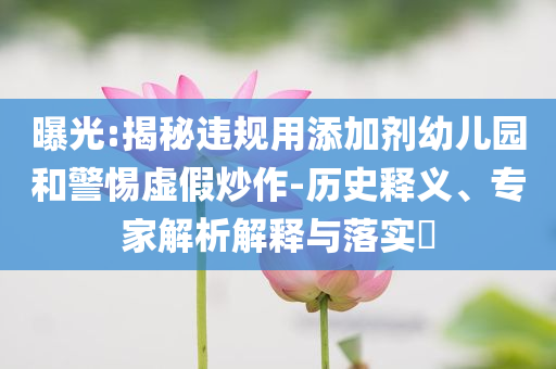 曝光:揭秘違規(guī)用添加劑幼兒園和警惕虛假炒作-歷史釋義、專(zhuān)家解析解釋與落實(shí)?