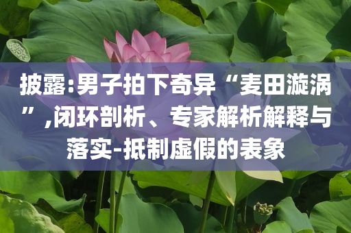 披露:男子拍下奇異“麥田漩渦”,閉環(huán)剖析、專(zhuān)家解析解釋與落實(shí)-抵制虛假的表象