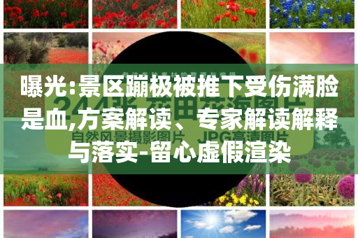 曝光:景區(qū)蹦極被推下受傷滿臉是血,方案解讀、專家解讀解釋與落實-留心虛假渲染