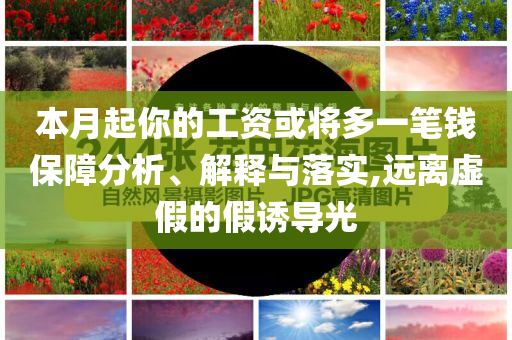 本月起你的工資或?qū)⒍嘁还P錢(qián)保障分析、解釋與落實(shí),遠(yuǎn)離虛假的假誘導(dǎo)光