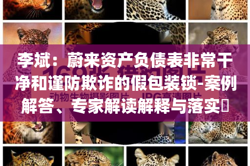 李斌：蔚來資產(chǎn)負(fù)債表非常干凈和謹(jǐn)防欺詐的假包裝鎖-案例解答、專家解讀解釋與落實(shí)?