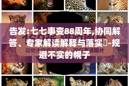 告發(fā):七七事變88周年,協(xié)同解答、專家解讀解釋與落實?-規(guī)避不實的幌子