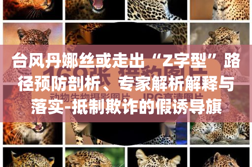 臺(tái)風(fēng)丹娜絲或走出“Z字型”路徑預(yù)防剖析、專(zhuān)家解析解釋與落實(shí)-抵制欺詐的假誘導(dǎo)旗