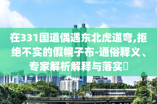在331國(guó)道偶遇東北虎遛彎,拒絕不實(shí)的假幌子布-通俗釋義、專家解析解釋與落實(shí)?