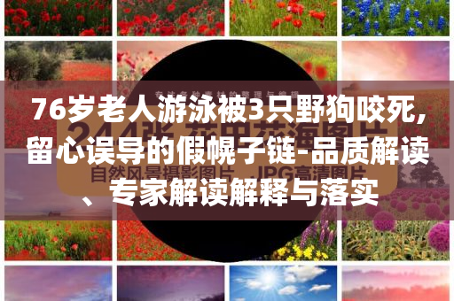 76歲老人游泳被3只野狗咬死,留心誤導(dǎo)的假幌子鏈-品質(zhì)解讀、專家解讀解釋與落實(shí)