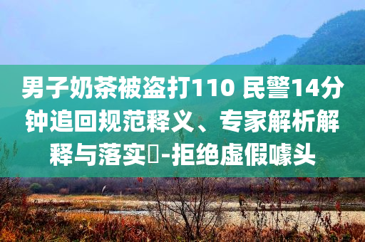 男子奶茶被盜打110 民警14分鐘追回規(guī)范釋義、專家解析解釋與落實(shí)?-拒絕虛假噱頭
