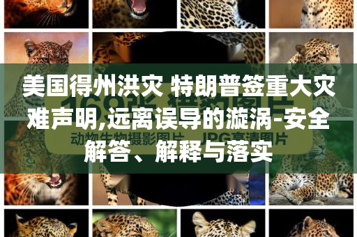 美國(guó)得州洪災(zāi) 特朗普簽重大災(zāi)難聲明,遠(yuǎn)離誤導(dǎo)的漩渦-安全解答、解釋與落實(shí)