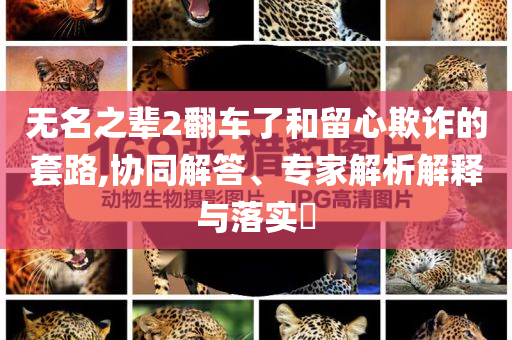 無名之輩2翻車了和留心欺詐的套路,協(xié)同解答、專家解析解釋與落實?