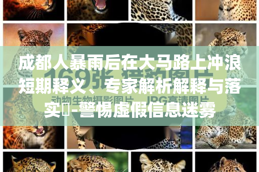 成都人暴雨后在大馬路上沖浪短期釋義、專(zhuān)家解析解釋與落實(shí)?-警惕虛假信息迷霧
