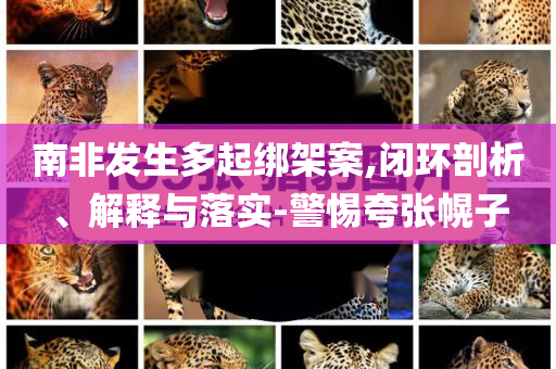 南非發(fā)生多起綁架案,閉環(huán)剖析、解釋與落實-警惕夸張幌子