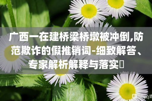 廣西一在建橋梁橋墩被沖倒,防范欺詐的假推銷詞-細(xì)致解答、專家解析解釋與落實(shí)?