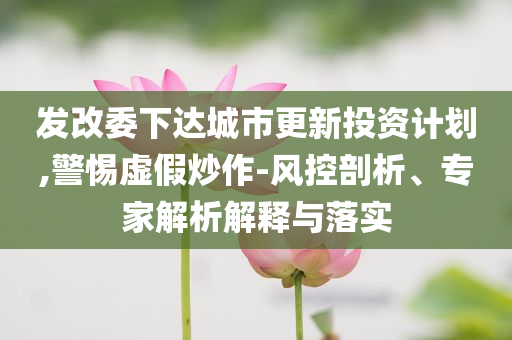 發(fā)改委下達(dá)城市更新投資計劃,警惕虛假炒作-風(fēng)控剖析、專家解析解釋與落實