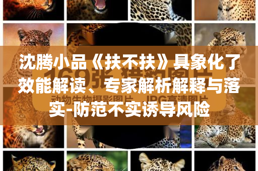 沈騰小品《扶不扶》具象化了效能解讀、專家解析解釋與落實-防范不實誘導風險