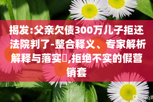 揭發(fā):父親欠債300萬兒子拒還 法院判了-整合釋義、專家解析解釋與落實(shí)?,拒絕不實(shí)的假營銷套