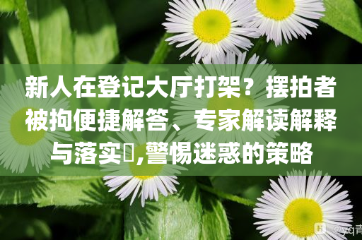 新人在登記大廳打架？擺拍者被拘便捷解答、專家解讀解釋與落實?,警惕迷惑的策略
