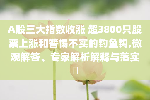 A股三大指數(shù)收漲 超3800只股票上漲和警惕不實(shí)的釣魚鉤,微觀解答、專家解析解釋與落實(shí)?