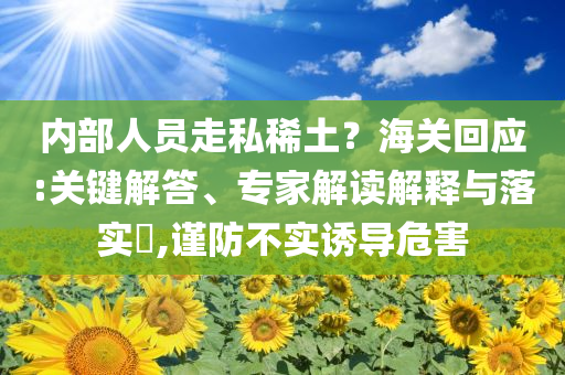 內(nèi)部人員走私稀土？海關(guān)回應:關(guān)鍵解答、專家解讀解釋與落實?,謹防不實誘導危害